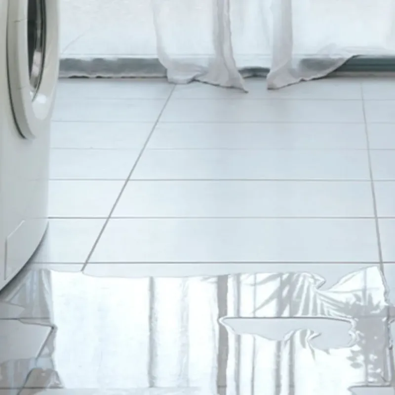 Appliance Leak Cleanup in Marlboro County, SC