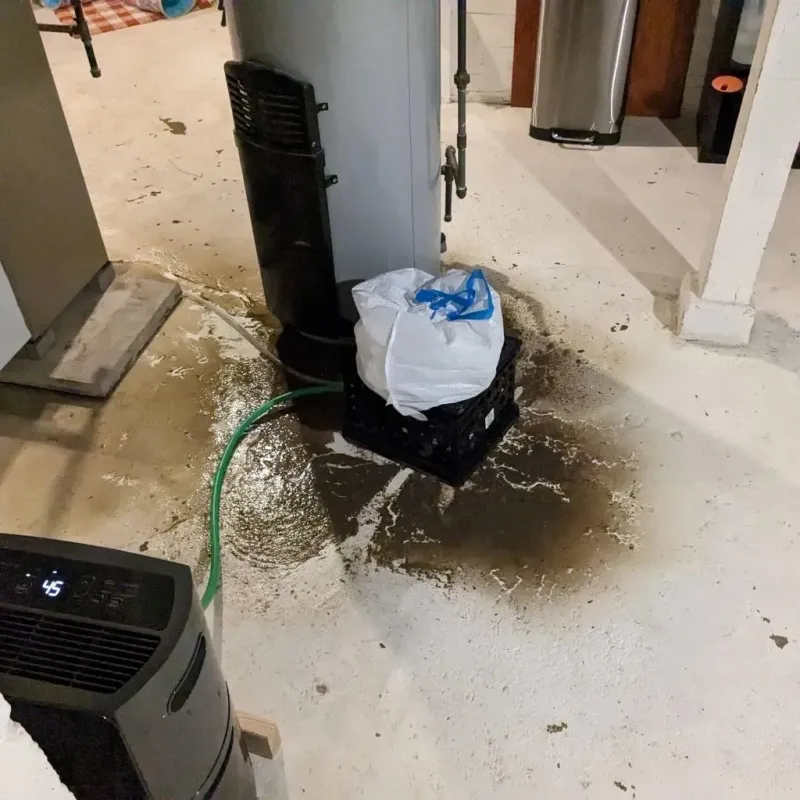 Sewage Backup Cleanup Service in Marlboro County, SC